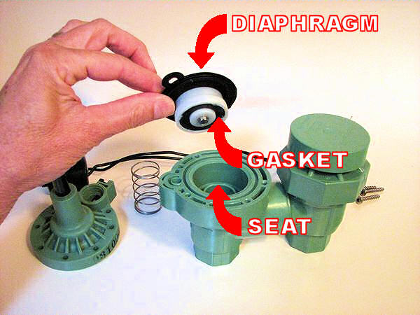 Rubber Diaphragm and Gasket