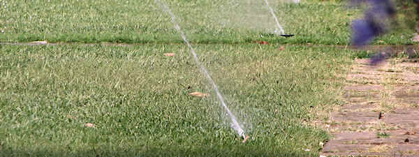 Rotor-type sprinklers operating in lawn.