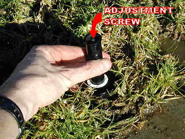 Adjustment screw on spray-type sprinkler