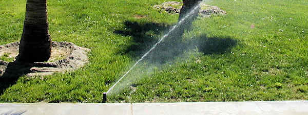 Rotor-type sprinklers operating in lawn.