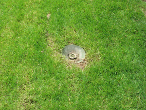SprinklerBuddy04
