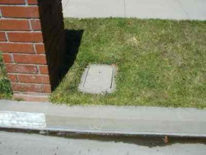Water meter box near curb.