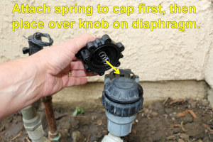 Install the spring into the lid, then the lid onto the valve.