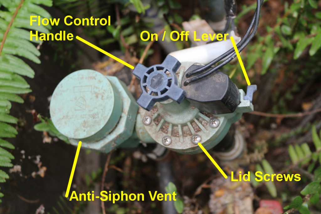 Water-Master Anti-Siphon Valve with controls labeled