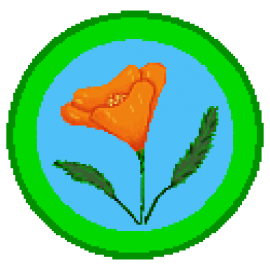Irrigation Tutorials - You've found the web's mother lode of irrigation information!